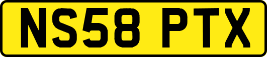 NS58PTX