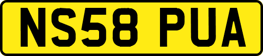 NS58PUA
