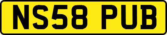 NS58PUB