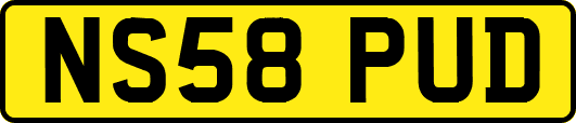 NS58PUD