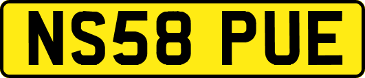 NS58PUE
