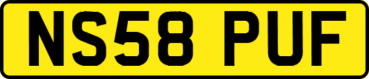 NS58PUF