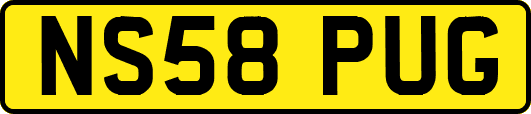 NS58PUG