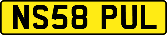 NS58PUL