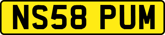 NS58PUM