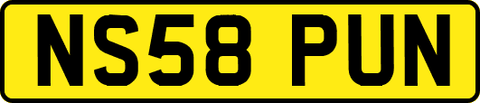 NS58PUN