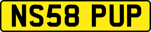 NS58PUP