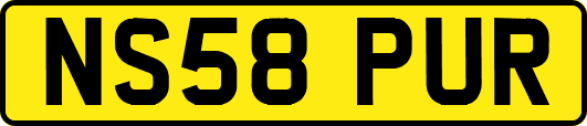 NS58PUR
