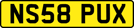 NS58PUX