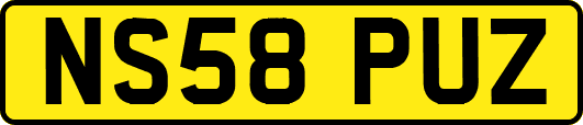NS58PUZ
