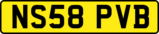 NS58PVB