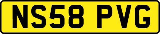 NS58PVG