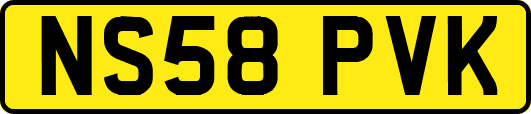 NS58PVK