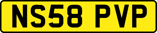 NS58PVP