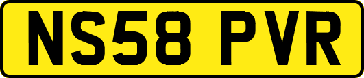 NS58PVR