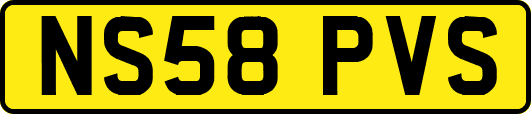 NS58PVS