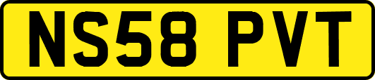 NS58PVT