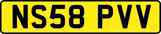 NS58PVV