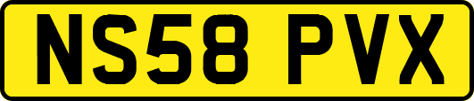NS58PVX
