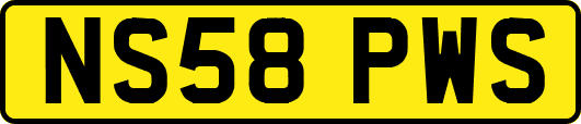 NS58PWS