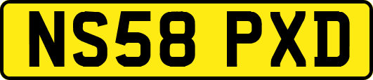 NS58PXD