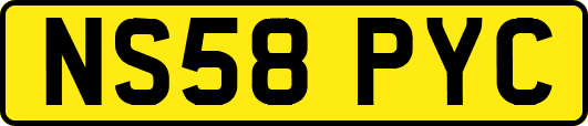 NS58PYC