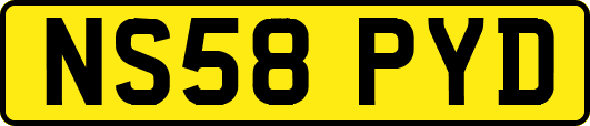 NS58PYD