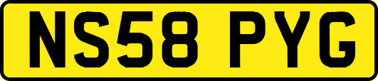 NS58PYG