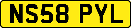 NS58PYL