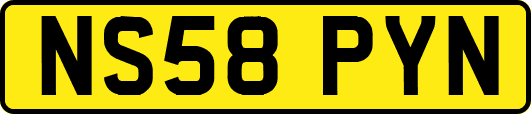NS58PYN