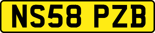NS58PZB