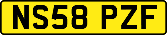 NS58PZF
