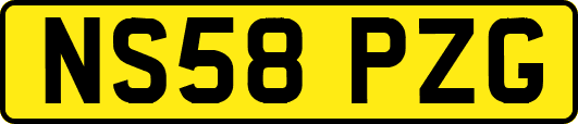 NS58PZG
