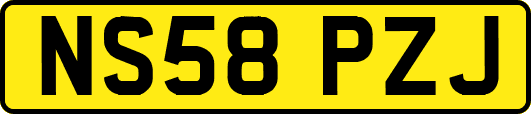 NS58PZJ
