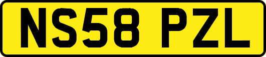 NS58PZL