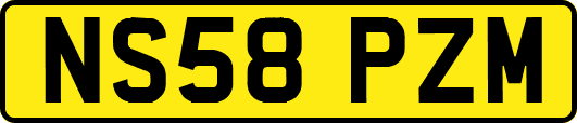 NS58PZM