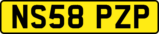 NS58PZP