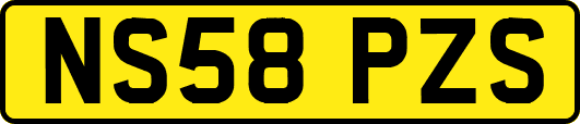 NS58PZS