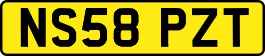 NS58PZT