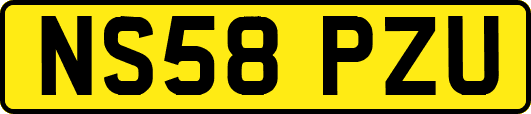 NS58PZU