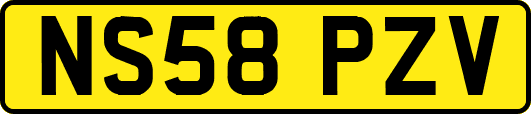 NS58PZV