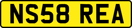 NS58REA