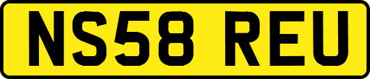 NS58REU