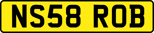 NS58ROB