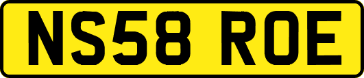 NS58ROE