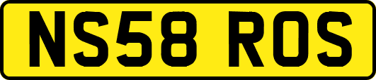 NS58ROS