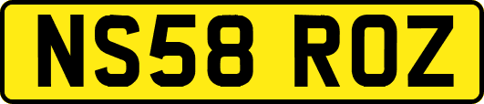 NS58ROZ