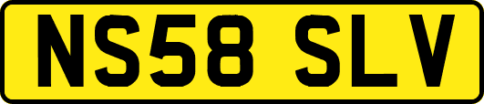 NS58SLV