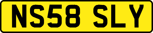NS58SLY