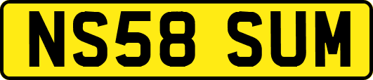 NS58SUM